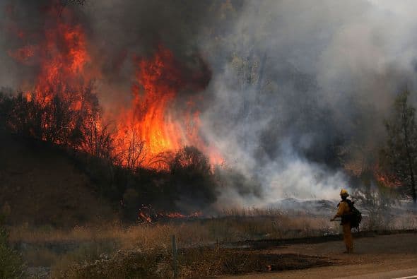 Las llamas se queman a través de un bosque mientras los bomberos tratan de atajar el fuego.