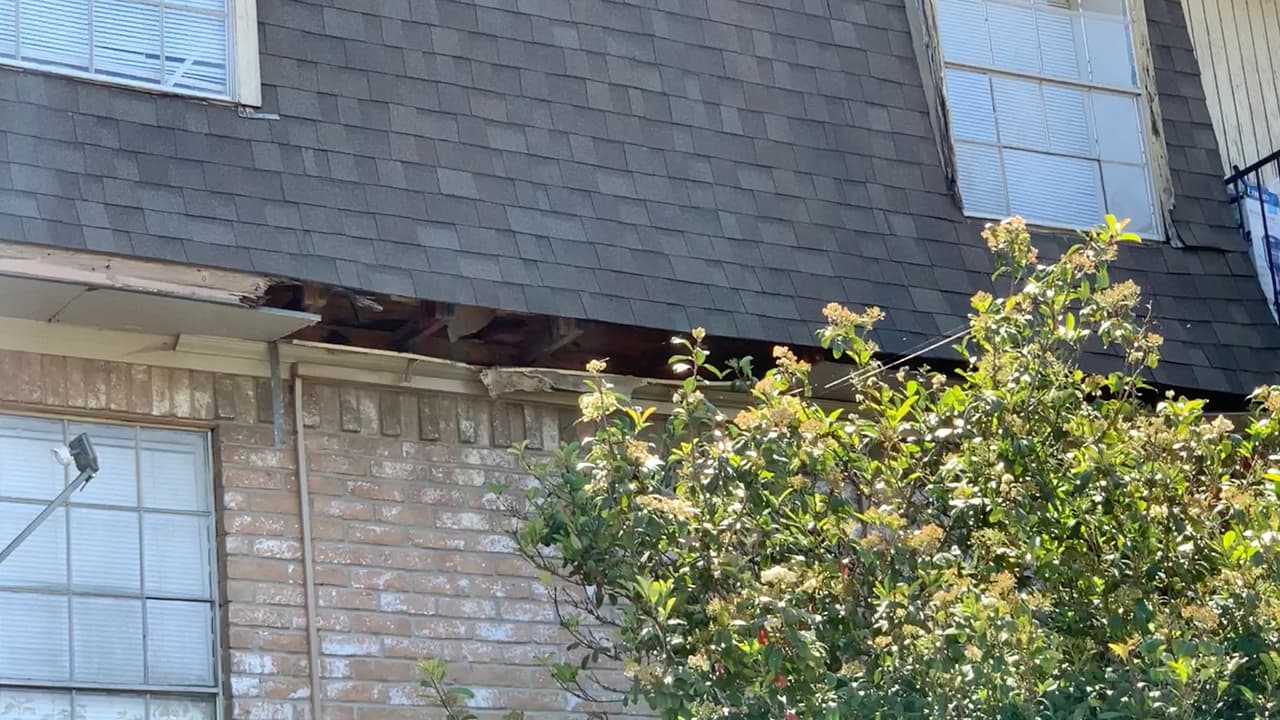 Reportes como estos los puede hacer llamando al 311 o descargando la aplicación para mandar fotografías a los funcionarios de la ciudad.