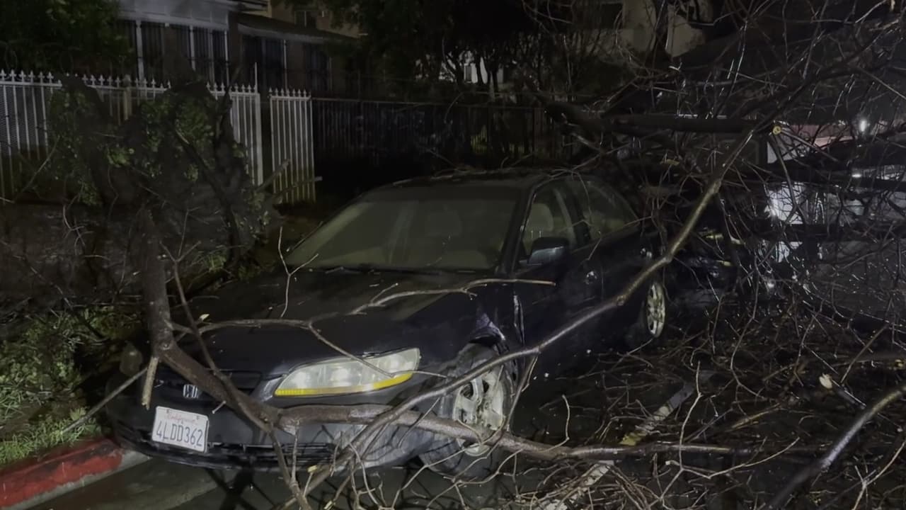 Tormenta deja un muerto y daños masivos en el sur de California por vientos y lluvias