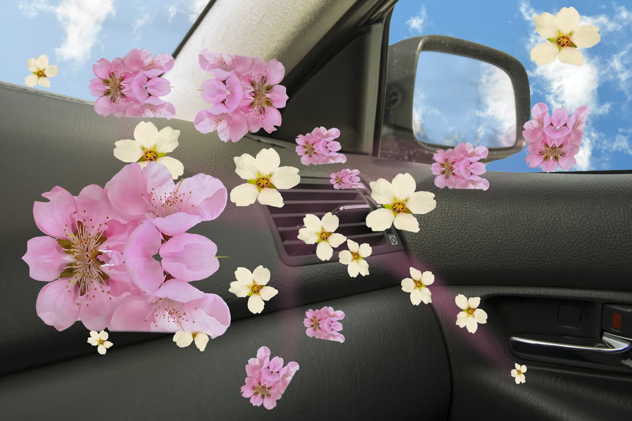 <b>Asientos y cabina malolientes</b>
<br>El calor también puede provocar que en la cabina y asientos se desprendan olores desagradables, sobre todo cuando no se realizan buenas 
<b><a href="https://www.univision.com/noticias/consejos-autos/consejos-para-limpiar-el-interior-de-tu-carro-fotos#fdf71b2d0000" target="_blank">prácticas de limpieza para el interior del coche</a></b>. Desde un alimento descompuesto y olvidado o unas tapicerías mal lavadas, pueden ser la causa de estos desagradables olores. 
<br>La mejor forma de combatirlos, especialmente para aquellas personas que no le agradan los fuertes aromatizantes automotrices, es pegar con cinta adhesiva una toalla de secadora de ropa en una de las salidas del aire acondicionado. Cuando encienda el auto y comience a funcionar el aire acondicionado, se propagará un aroma suave en la cabina. También se puede colocar una toallita debajo del asiento del conductor para mayor efectividad.