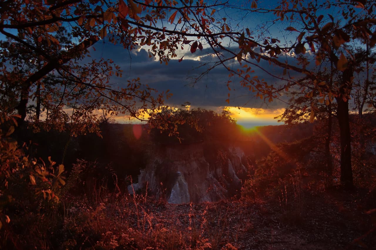 <b>Providence Canyon State Park (Lumpkin)</b>
<br>
<b>Sitio web</b>: 
<a href="https://gastateparks.org/ProvidenceCanyon">https://gastateparks.org/ProvidenceCanyon</a> 
<br>
<a href="https://maps.app.goo.gl/JbKxa37oE5d5MQiRA"><b>Cómo llegar</b></a>
<b> </b>
<br>
<br>El "Pequeño Gran Cañón" de Georgia puede ser mejor conocido por su suelo de tonos naranjas, pero sus árboles también ofrecen una paleta de colores. A finales del otoño, alquila una cabaña cerca del Parque Estatal Florence Marina y luego camina por el cañón para observar las hojas.