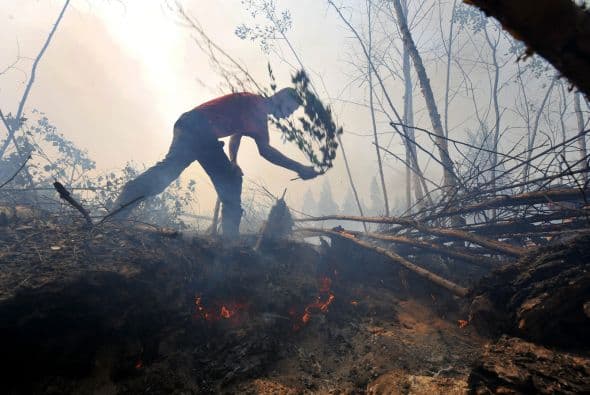Ola de calor en Rusia. Durante 2010, este país sufrió la peor ola de calor en mil años, que ha derivado en incendios forestales devastadores. Como consecuencia, la ola de mortalidad en la capital se duplicó gracias a las temperaturas hasta por encima de los 40 grados centígrados.