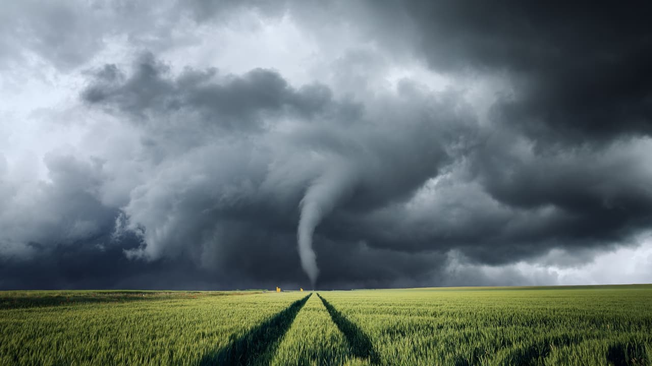 ¿Qué tan comunes son los tornados en California? Los más recientes en el condado de Los Ángeles