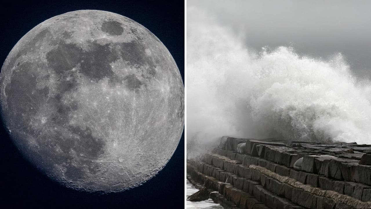 NASA advierte que temblores en la Luna tendrían consecuencias “devastadoras” para 2030