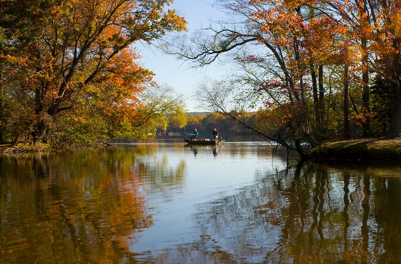 <b>French Creek State Park</b> es un oasis para las personas y la vida silvestre. A caballo entre Schuylkill Highlands, el parque de 7,730 acres es el bloque más grande de bosque contiguo entre Washington DC y la ciudad de Nueva York.
<br>Los bosques, lagos, humedales y campos son un destino para que la gente del sureste de Pensilvania pueda caminar, pescar, acampar y andar en bicicleta.
<br>
<br>