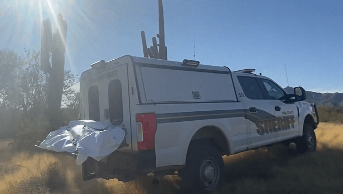 Si no reciben ayuda de manera rápida, el final suele ser trágico.