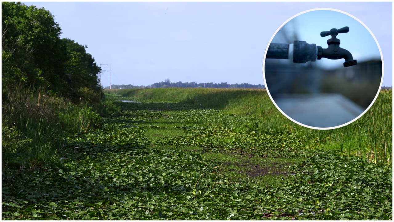 Fuerte sequía: piden tomar estas medidas ante la advertencia por falta de agua en Miami-Dade