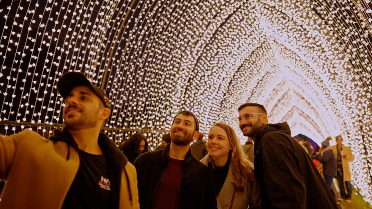 Jardín Botánico de Brooklyn te invita a dar un paseo lleno de luz esta temporada navideña