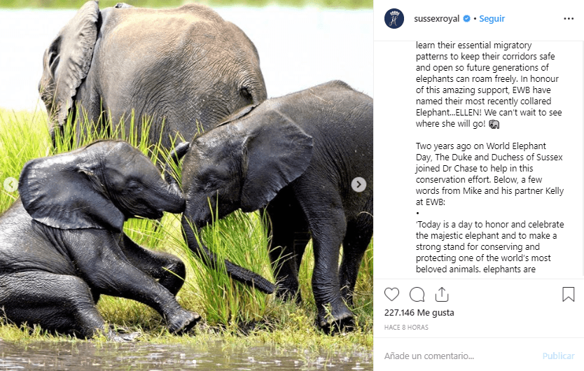 En el mensaje se precisó que los duques de Sussex viajaron a África hace dos años para unirse al Dr. Chase en su esfuerzo de conservación de estos majestuosos animales.