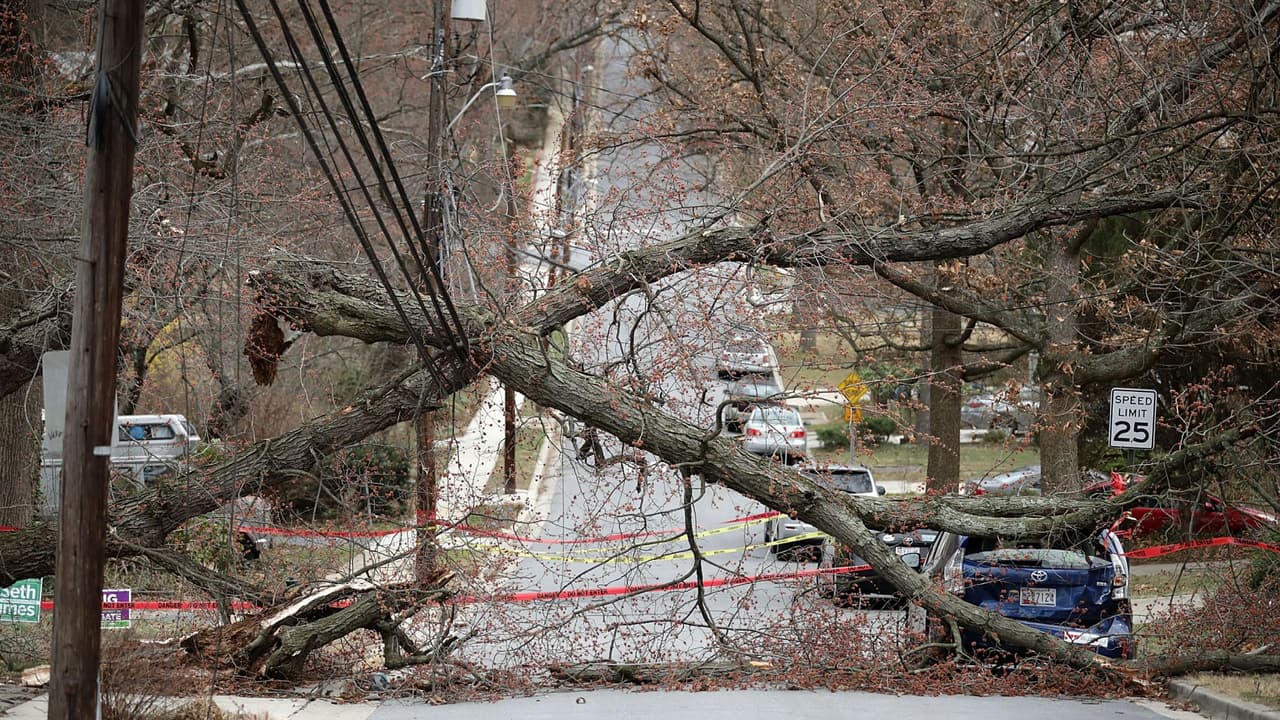 Estar atento a los escombros voladores: las ramas de los árboles pueden romperse y los letreros de las calles pueden soltarse durante las fuertes ráfagas de viento. Hay que estar atentos a los balcones cercanos en busca de objetos sueltos que puedan caer.