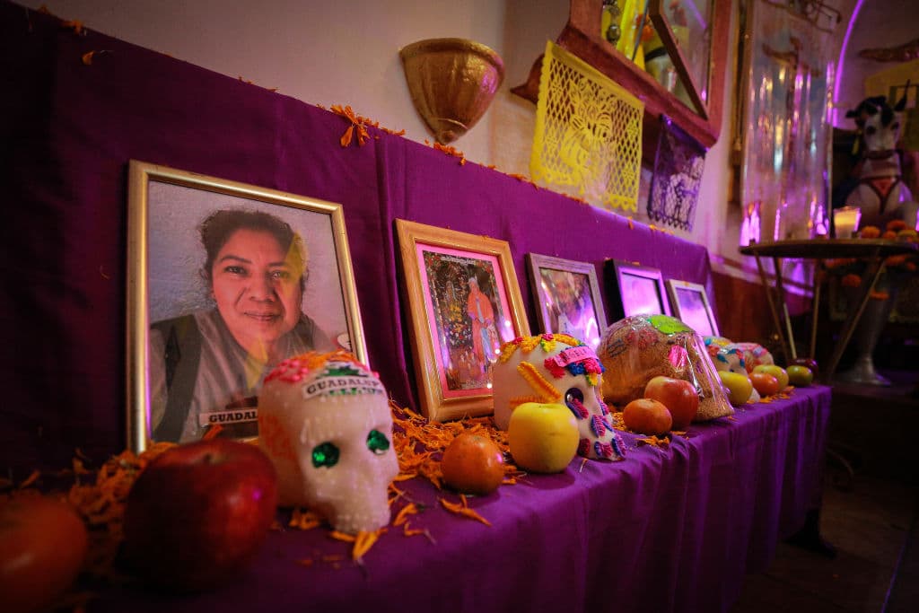 Existen otros elementos que son colocados en las ofrendas, entre ellas un mantel blanco y la sal que representan la purificación para que el muerto pueda transitar entre este mundo y el de los muertos. Otra es la colocación de un cráneo o calavera de azucar o chocolate que representa las reliquias que los sacerdotes católicos llevaron a México.
<br>
<br>También se acostumbra colocar fotografías del difunto. Entre el día 1 y el 2 de noviembre es costumbre incluir 
<b>panes de muerto, alcohol y algún platillo</b> que la persona disfrutaba en vida para que la pueda disfrutar durante su visita.
<br>