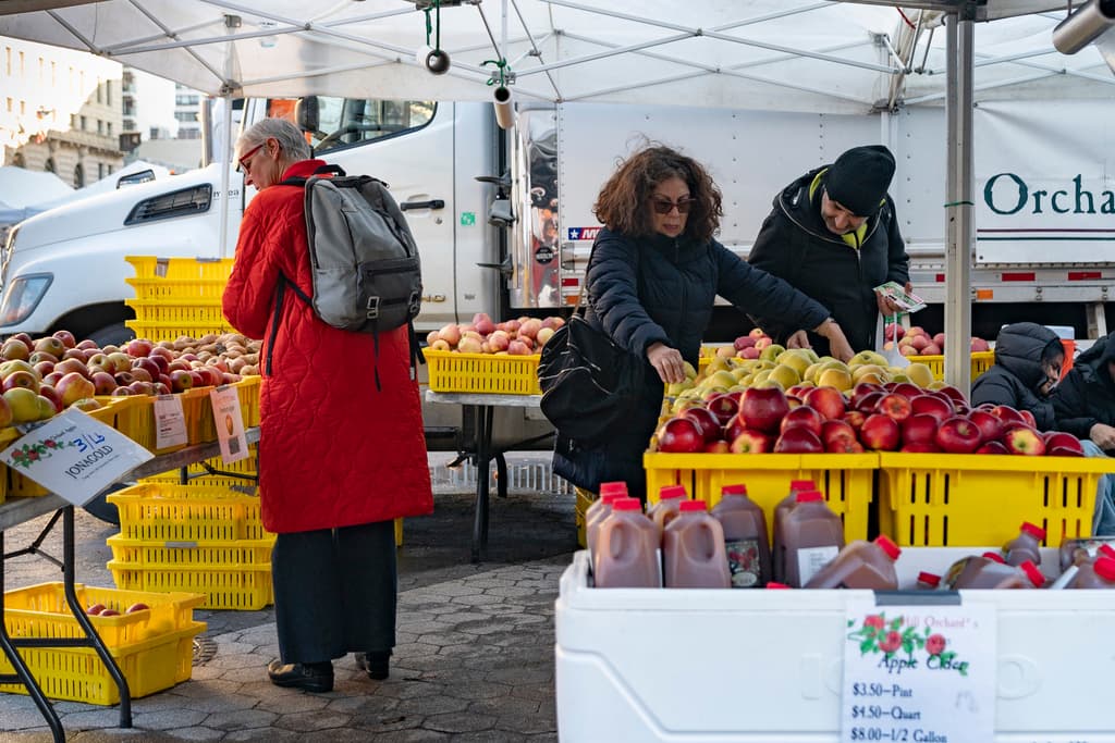 ¿Cómo los supermercados municipales que propone Mamdani podrían afectar a los comerciantes?