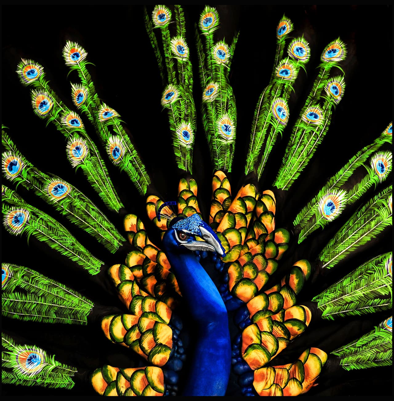 Estas ilusiones se crearon sobre 12 modelos a los que pintaron.