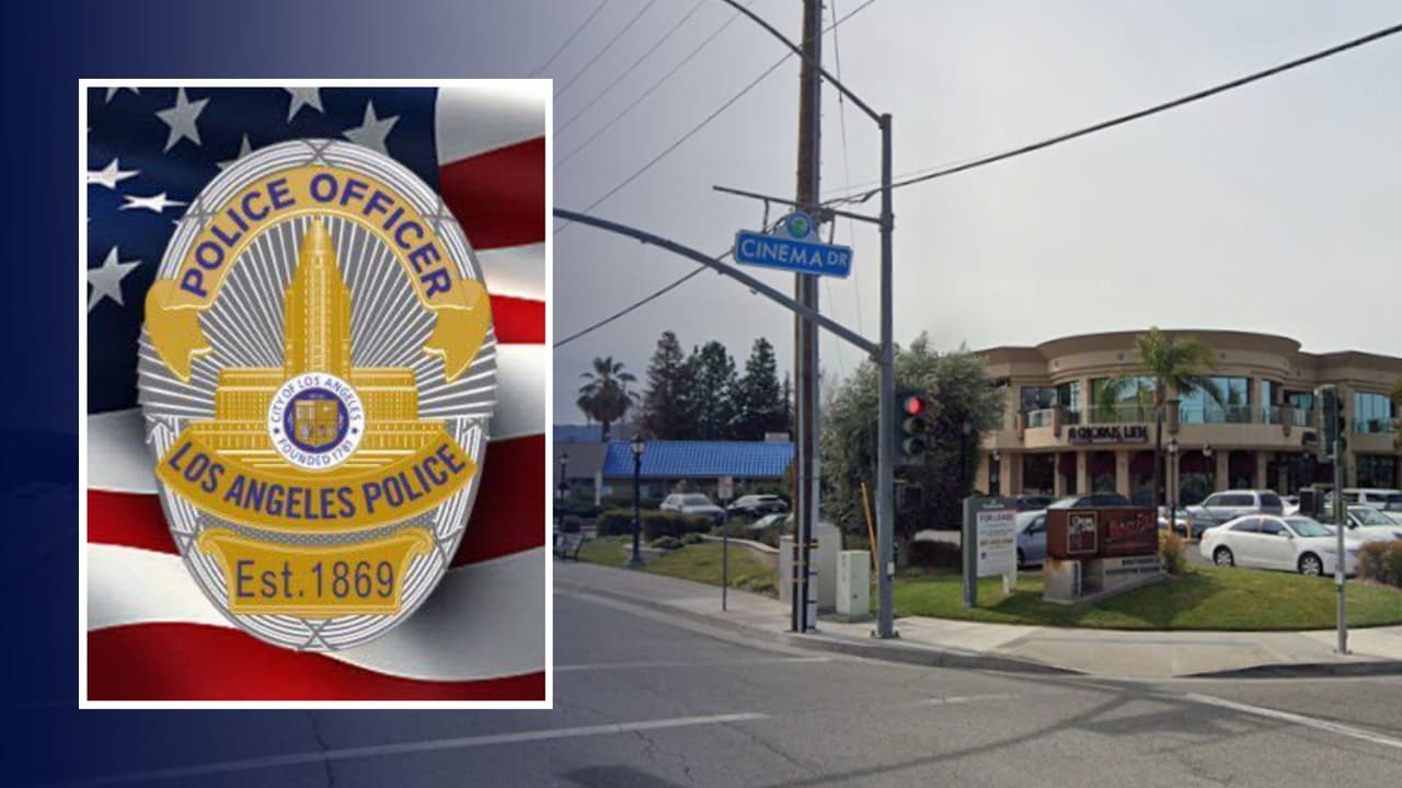 Oficial del LAPD muere tras choque e incendio de Tesla en Santa Clarita