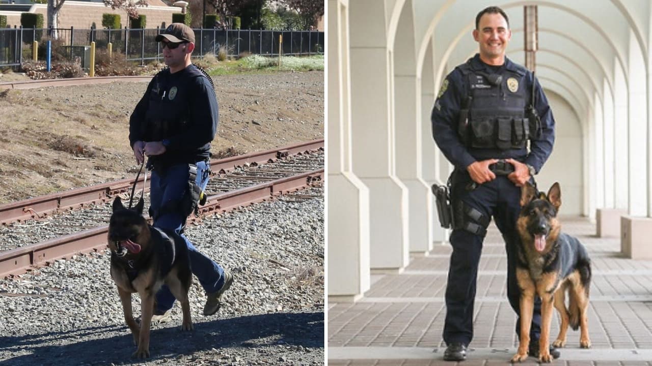 "Marco" es el perro policía que está en el centro de la demanda contra el oficial Ryan Rezentes.