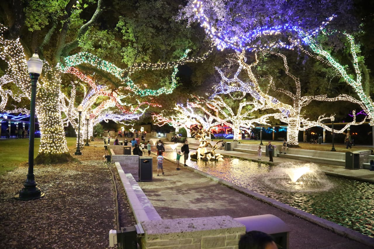 Las decenas de robles del parque fueron iluminados con miles de luces que cambian de colores y se encienden y apagan al ritmo de música navideña.