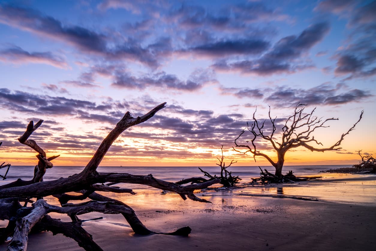 <b>Puesto 6. Driftwood Beach. Jekyll Island, Georgia.</b>
<br>
<br>Ubicada en el extremo norte de Jekyll Island, Driftwood Beach está plagada árboles retorcidos y desgastados después de años de erosión. Es una playa especialmente elegida para la fotografía.