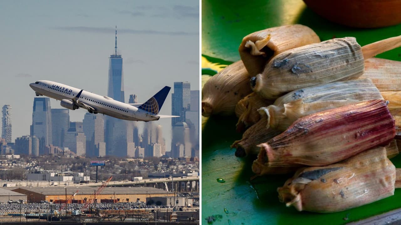 ¿Llevas tamales en tu vuelo de Thanksgiving? Esto es lo que permite la TSA