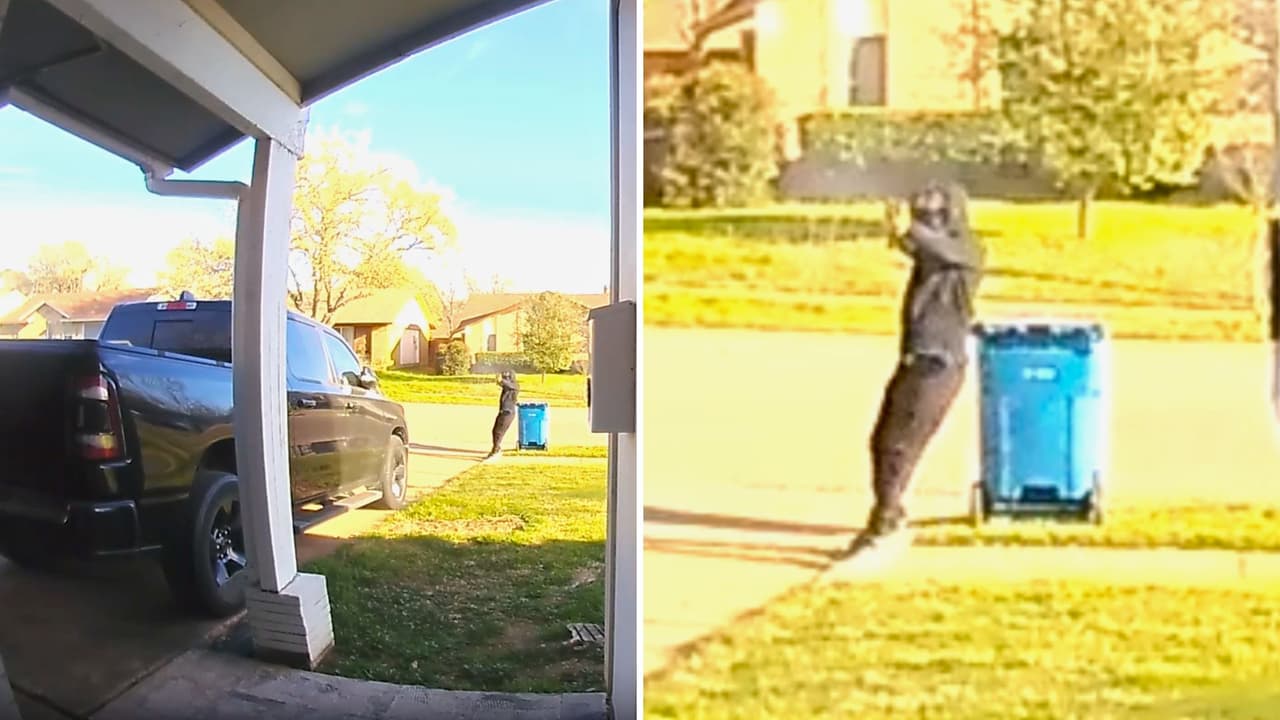 <h3 class="cms-H3-H3">Preocupación en la comunidad </h3>
<br>El incidente ha generado alarma entre los residentes del vecindario. Un vecino expresó que la situación es preocupante y
<b>teme que el atacante regrese para agredir nuevamente</b>. Las imágenes captadas por cámaras de seguridad muestran
<b>al sospechoso disparando desde la acera y luego huyendo del lugar.</b> Las autoridades han difundido la grabación
<b> solicitando la colaboración de la comunidad para identificarlo.</b>