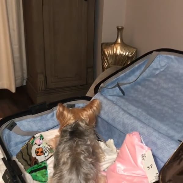 La presentadora dominicana tiene que viajar mucho por su trabajo y en ocasiones su 'mini me' la acompaña.