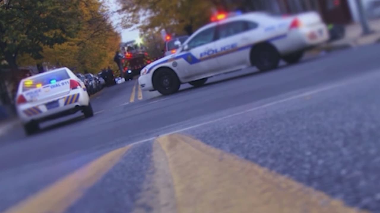 “Tienen que hacer algo”: casos de atropello y fuga preocupan a la comunidad en el área de Filadelfia