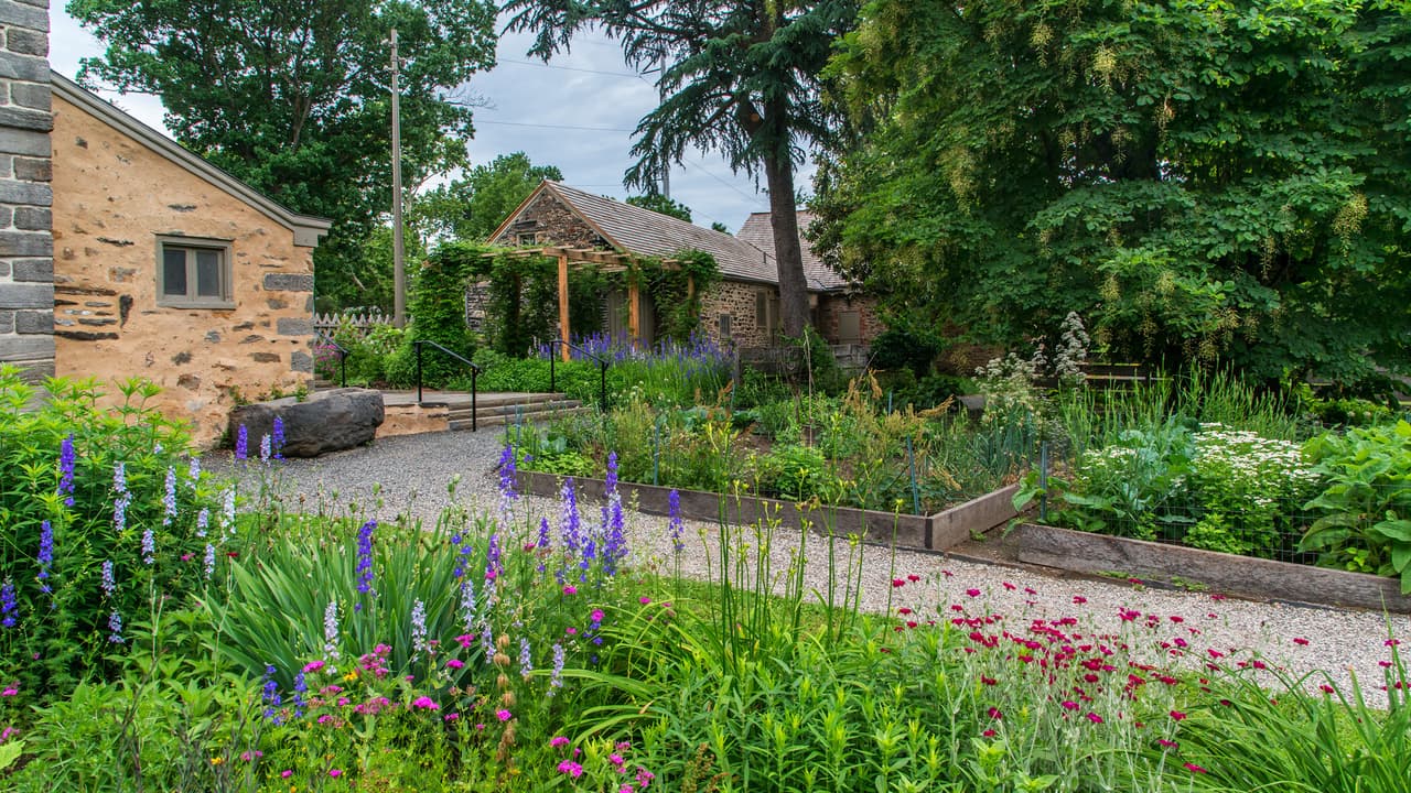 <b><a href="https://www.bartramsgarden.org/" target="_blank">Bartram’s Garden:</a></b>
<a href="https://www.bartramsgarden.org/" target="_blank"> </a>Con una extensión de 50 acres en la orilla oeste del río Schuylkill, este lugar del suroeste de Filadelfia se considera el jardín botánico más antiguo del país. Bartram's alienta a los excursionistas a traer una canasta de comida para disfrutar en los jardines, y cuenta con una serie de áreas de picnic privilegiadas, incluido un lugar sombreado en la parte inferior de Eastwick Hill donde puede disfrutar de excelentes vistas del agua o en su exuberante pradera. 📍 
<a href="https://www.google.com/maps/place/Bartram%E2%80%99s+Garden/@39.9327414,-75.2122015,15z/data=!4m2!3m1!1s0x0:0x6bdeffbb106d9eb4?sa=X&ved=2ahUKEwiaitmz0LXwAhXJVN8KHf6WBDcQ_BIwKXoECDwQBQ" target="_blank">5400 Lindbergh Blvd.</a>, 📞 215-729-5281, ✉️ 
<a href="mailto:info@bartramsgarden.org" target="_blank">info@bartramsgarden.org</a>, 🌐 
<a href="http://bartramsgarden.org/" target="_blank">bartramsgarden.org</a>