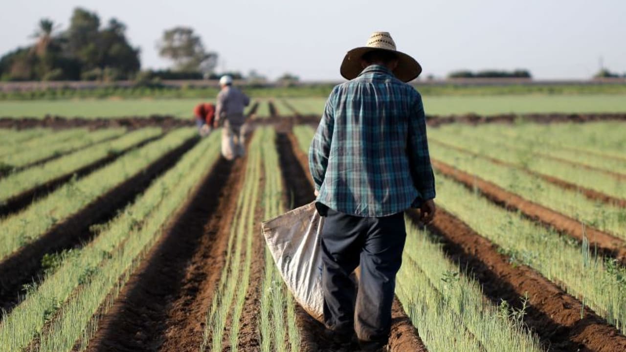 Alex Padilla dice que trabajadores del campo indocumentados merecen un camino a la ciudadanía