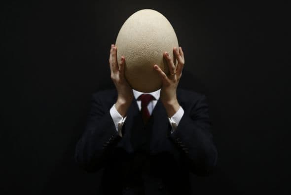 Es incluso más grande que el tamaño de una cabeza humana.