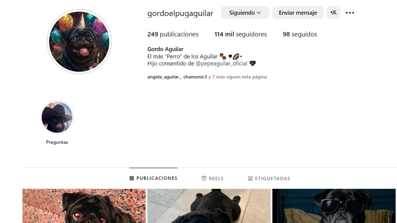 Esta es la cuenta oficial de la mascota de Pepe Aguilar.