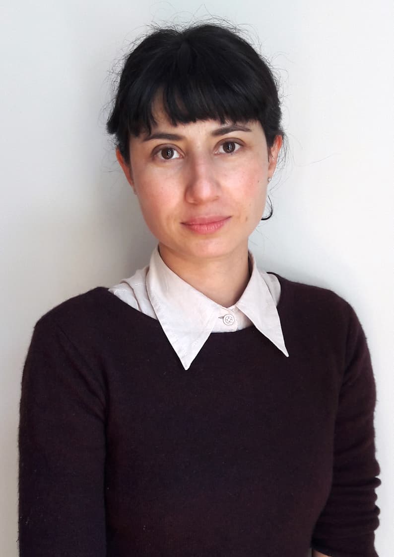 El galardón a la ópera prima de ficción iberoamericana se debate entre los filmes ‘El techo’ (Nicaragua), ‘La llamada’ (España), ‘La novia del desierto’ (Argentina-Chile), ‘La defensa del dragón’ (Colombia), ‘Mala Junta’ (Chile) y ‘Verano 1993’. El filme colombiano dirigido por Natalia Santa (en la foto) es el tercer largometraje de ese país en entrar a la exclusiva lista.
<br>