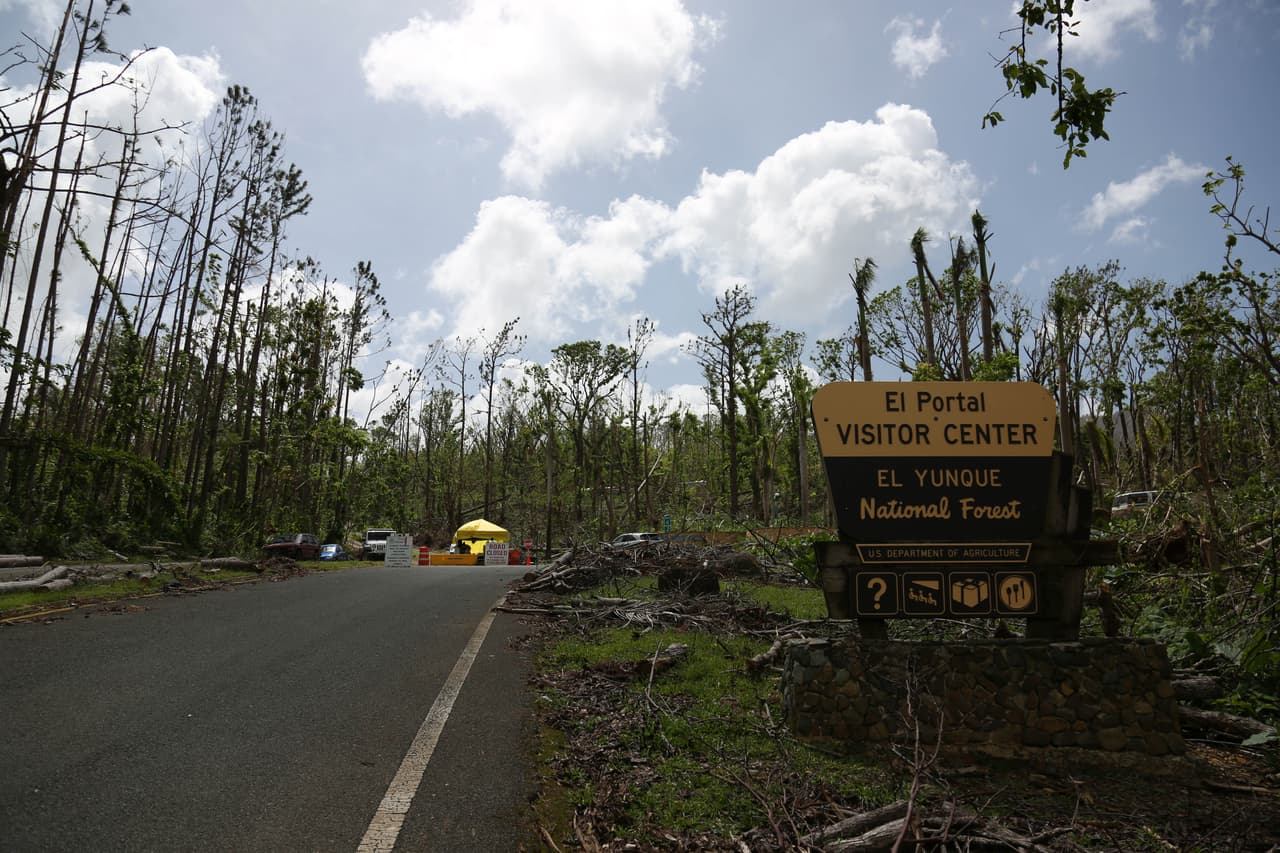 El parque nacional El Yunque, localizado al noreste de la isla en el municipio Rio Grande, fue severamente afectado por el paso del huracán y estará cerrado para el público por meses.