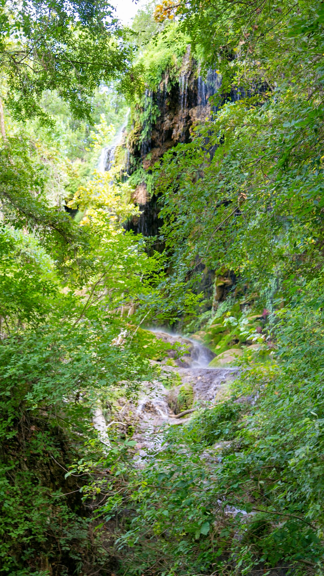 El parque también ofrece recorridos por cuevas salvajes y se puede acampar en el parque estatal.