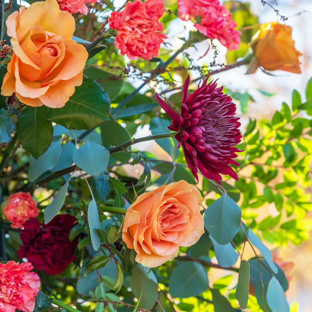 <b>Distritos</b>
<br>Los visitantes de la feria notarán tres "distritos" únicos. Si ha visitado la Exposición de flores en el pasado, es posible que esté familiarizado con los diferentes componentes del evento, cada uno de los cuales tendrá sus propias áreas este verano.