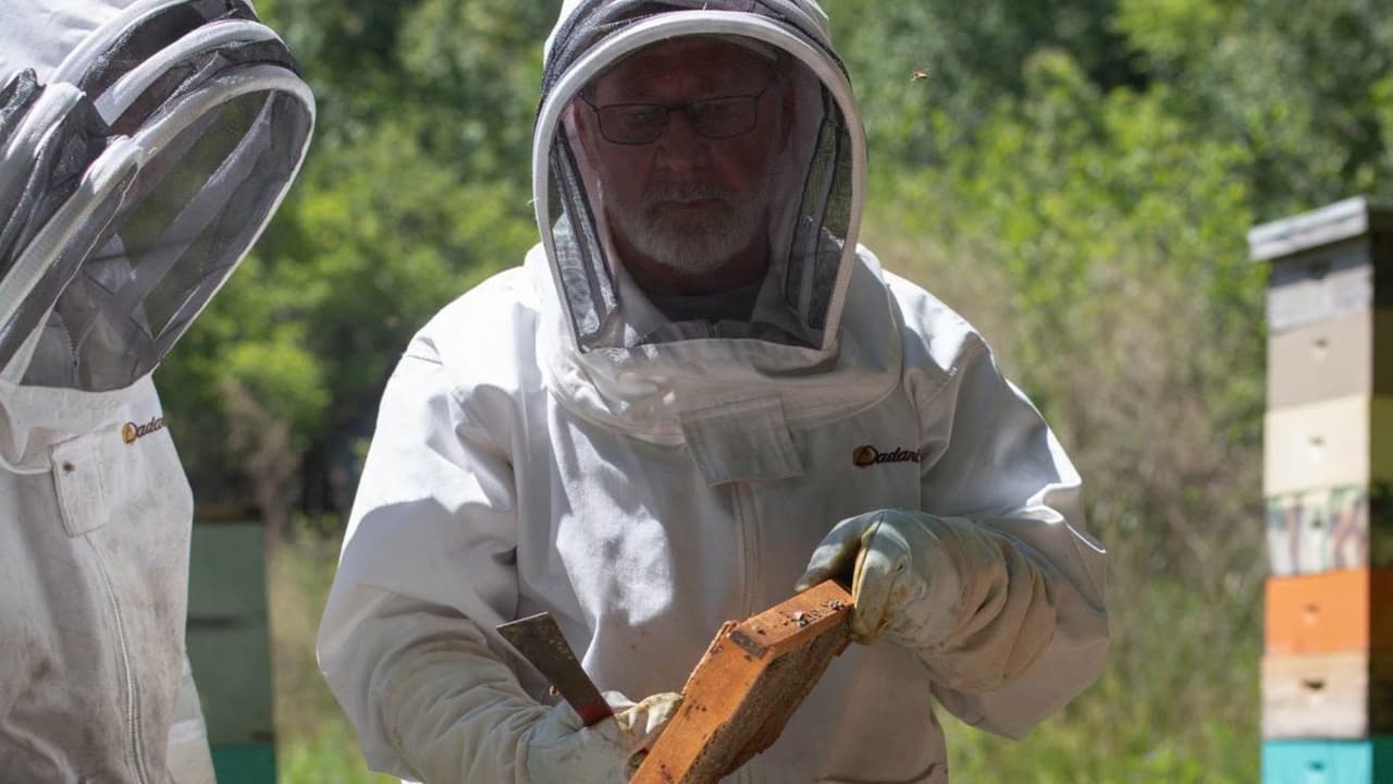 Contrario a lo que muchos piensan, no es miel dorada que cambia de color. Según el 
<b>apicultor Donald Dees, </b>las abejas producen la miel a partir de un néctar que ya adquiere ese tono morado.
<br>
<br>Además, 
<b>está miel suele ser más líquida</b> y en algunos casos, 
<b>empieza a perder su color y sabor a los 4 o 6 meses.</b>