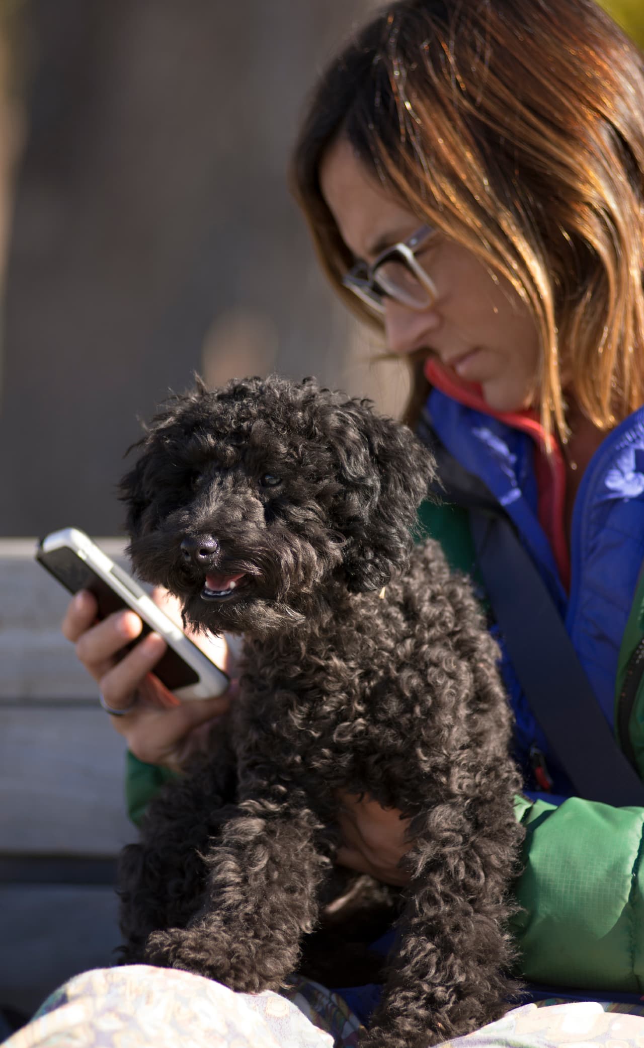 NO online. A pesar de lo que se diga, la mayoría de las tiendas de mascotas no venden animales a través de la red.