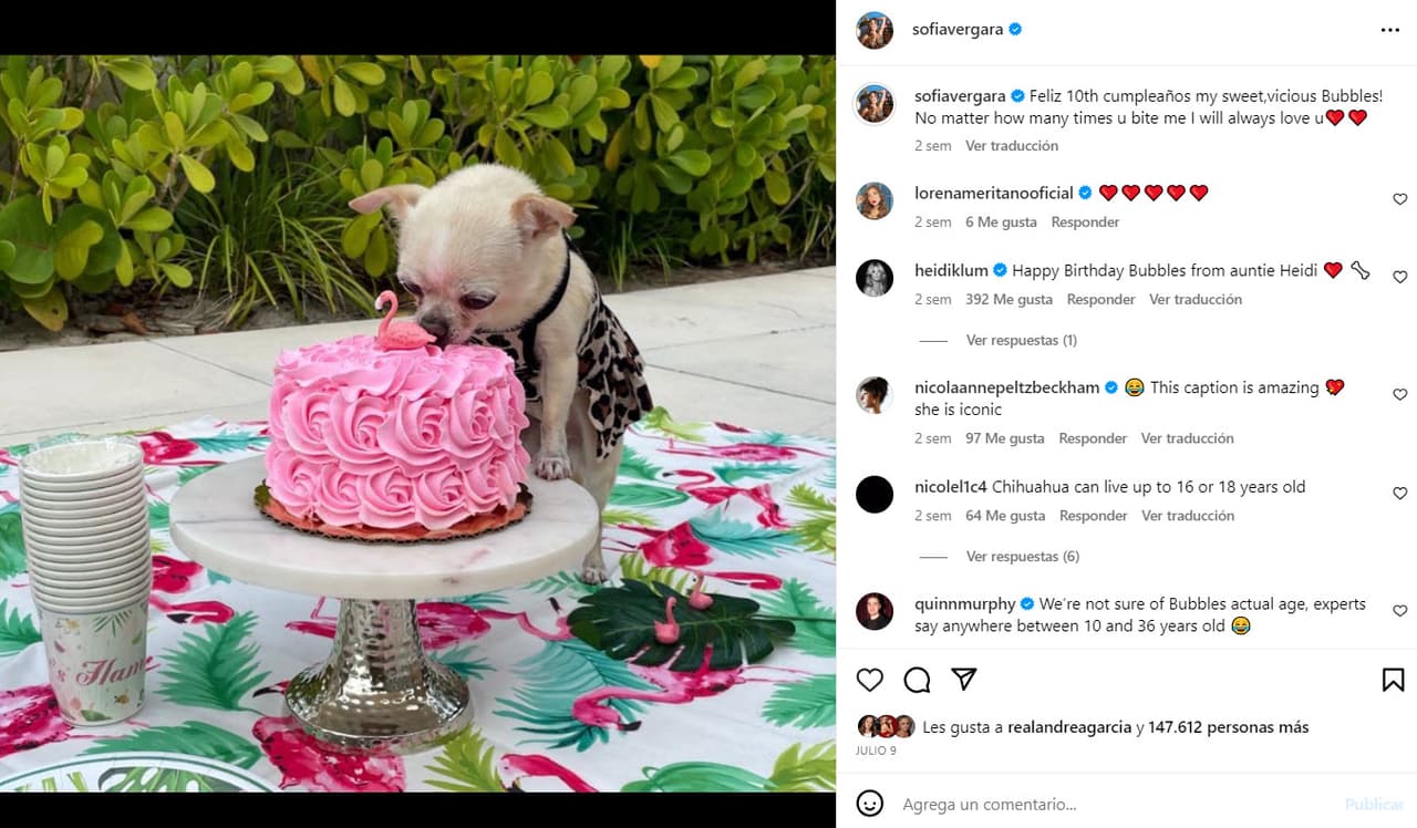 Sofía Vergara celebra los 10 años de Bubble.