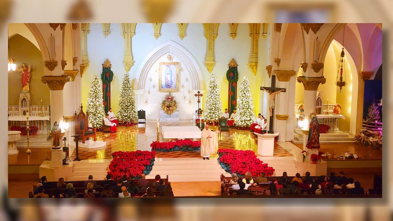 <h3 class="cms-H3-H3">🕊️Fiesta de Nuestra Señora de Guadalupe</h3>
<br>
<b>📅 Jueves 12 de diciembre</b>
<br>
<b>6 AM:</b> Mañanitas para la Virgen.
<br>
<b>7 AM:</b> Misa en español.
<br>
<b>12 PM:</b> Misa en inglés.
<br>
<b>7 PM:</b> Misa de clausura en español.
<br>
<b>8 PM:</b> Bendición y distribución de flores.
<br>
<i>⚠️ Nota: La Catedral estará cerrada de 1 AM a 5 AM.</i>