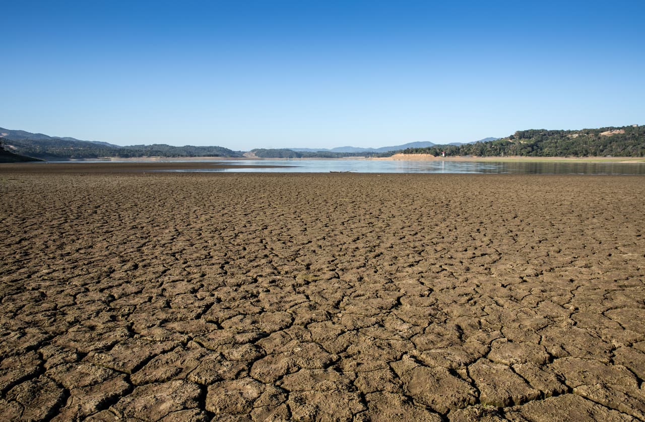 El nivel del agua en el lago Mendocino, en Ukiah, California, alcanzó su mínimo histórico el 2 de junio: 29% de su capacidad. Es el clima más seco que se haya registrado en esta área del estado y los agricultores de los condados de Mendocino, Sonoma y Marin están sujetos a restricciones de agua obligatorias. 
<br>
<br>El oeste de Estados Unidos está cada año más seco y la mayoría de los científicos responsabiliza de este fenómeno al cambio climático. Un reportaje de NPR explica que 
<a href="https://www.npr.org/2021/06/09/1003424717/the-drought-in-the-western-u-s-is-getting-bad-climate-change-is-making-it-worse"><u>2020 fue uno de los años con menos lluvias en la mayoría de los estados del suroeste</u></a>, desde que comenzaron estos registros en 1895.