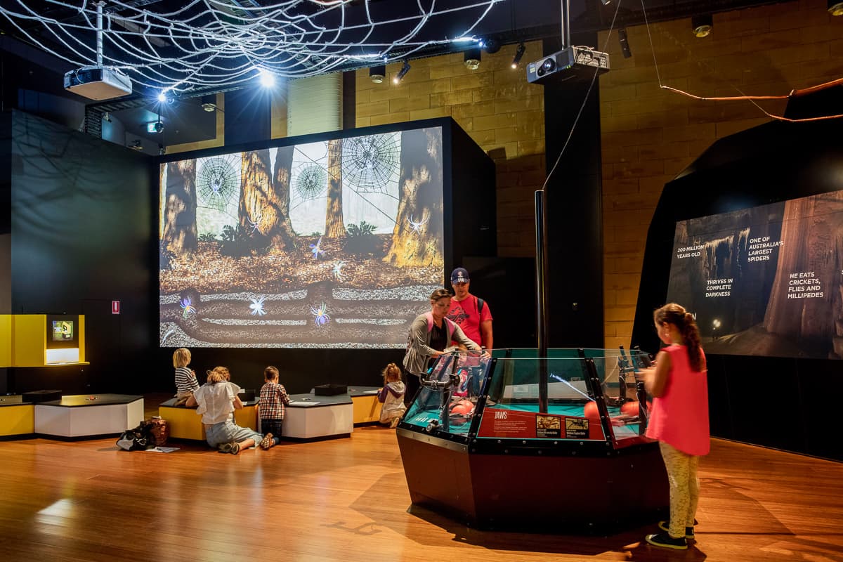 ¿Sabías que las arañas pueden nadar, saltar e incluso “volar”? “Spiders: Fear to Fascination” es la nueva exposición interactiva en el Museo de Ciencias Naturales de Carolina del Norte.