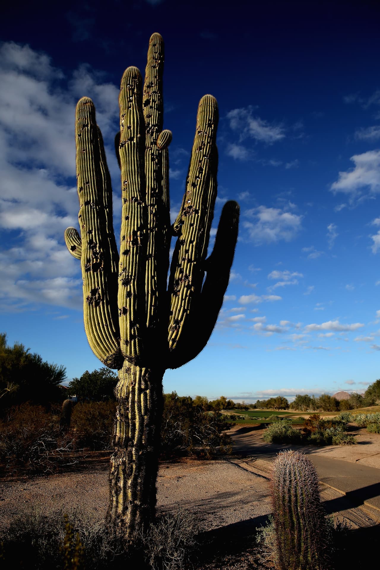 Bankrate.com también coloca a otras ciudades de Arizona en la lista de las 10 mejores ciudades para retirarse.