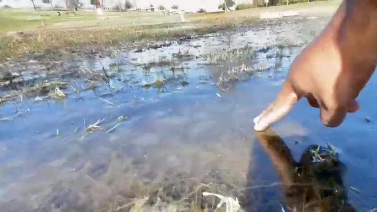 Se reportó que centros comunitarios y bibliotecas funcionaron como centros de calentamiento para quien lo requiriera.