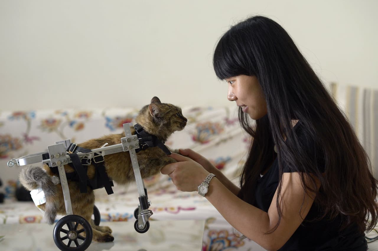 ¡Y viceversa! Pues gracias a ella, la salud del gatito va en aumento.