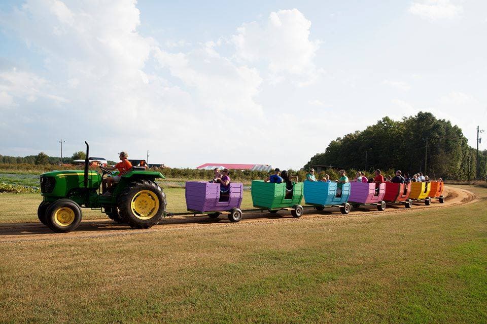 <b>Washington Farms (Bogart)</b>
<br>
<b>Sitio web</b>: 
<a href="https://www.washingtonfarms.net/">https://www.washingtonfarms.net/</a> 
<br>
<b><a href="https://maps.app.goo.gl/KRPZYpoGTQXCK6Wt5">Cómo llegar</a> </b>
<br>
<br>Ubicado cerca de Athens, esta granja ofrece mucha diversión familiar para todas las edades en el otoño. Aquí hay casi 40 actividades de otoño, incluido un laberinto de maíz, girasoles, una caja de maíz, un minitren y más. También puede simplemente visitar el huerto de calabazas y llevarse unas a casa.