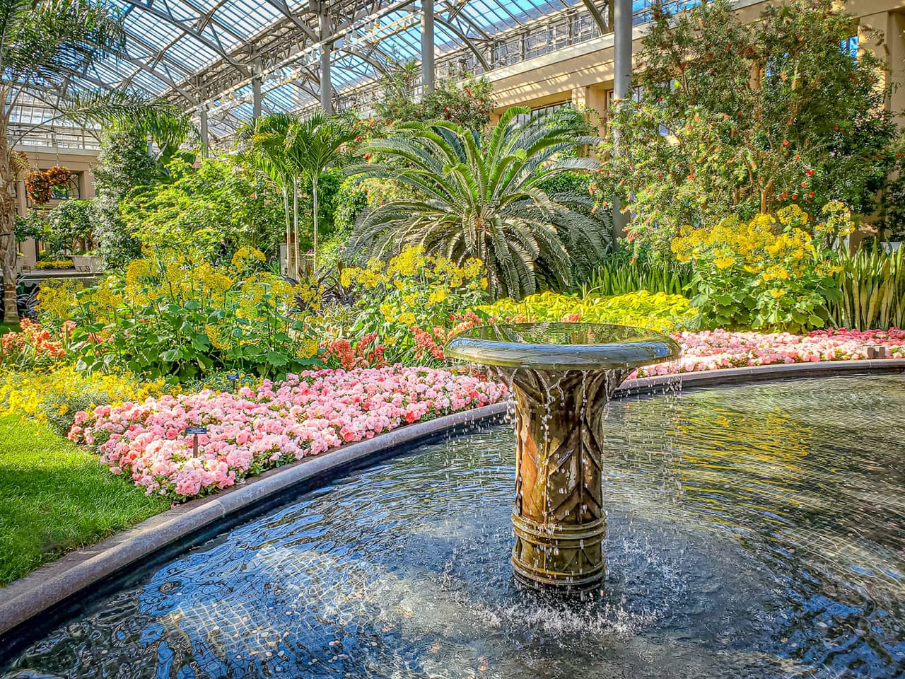 <b><a href="https://longwoodgardens.org/">Longwood Gardens (Kennett Square)</a></b>: Esta joya situada cerca de las regiones de Filadelfia y Lancaster es un lugar de una belleza sin igual. Conocido a menudo como el principal espectáculo hortícola del mundo, los 1,050 acres de bosques naturales, majestuosos jardines, opulentos conservatorios y fuentes danzantes de Longwood Gardens están abiertos todos los días del año.