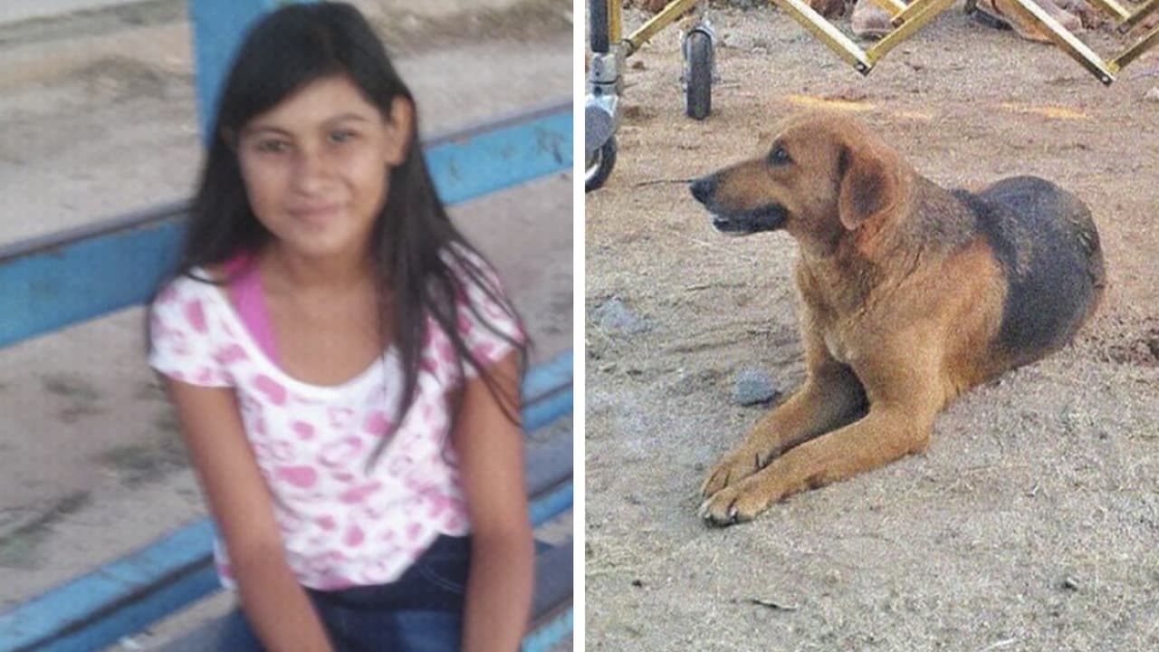 Perrito esperó el regreso de su dueña desaparecida por meses: así fue el reencuentro en el funeral