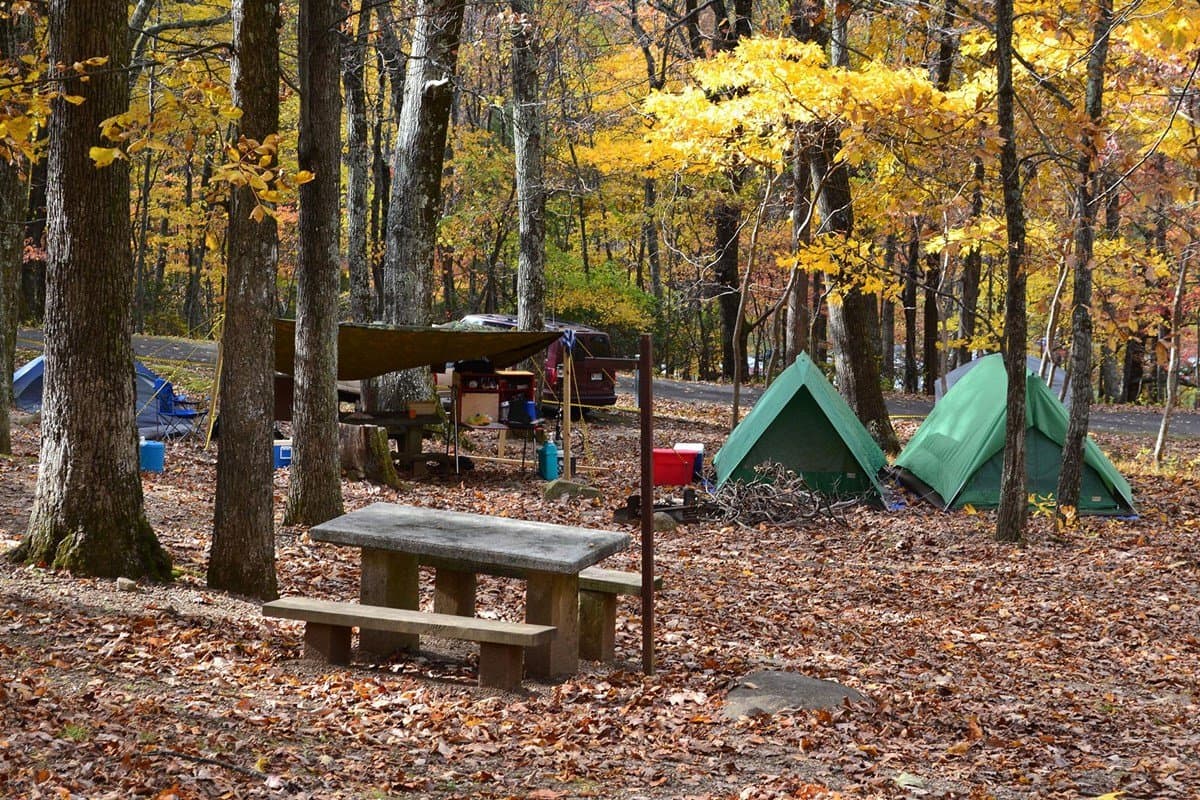 La mayoría de las demás instalaciones, incluidos los centros de visitantes, los campamentos y las áreas de picnic, están abiertas desde la primavera hasta el otoño.