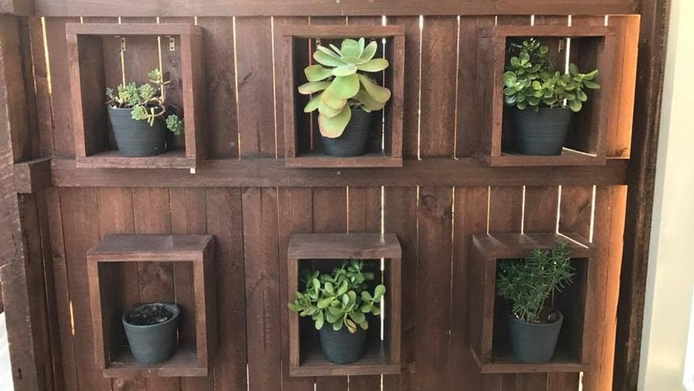 <b>¿Puedes ver la serpiente pitón acurrucada en una maceta? </b>
<br>Como acabamos de comprobar, las serpientes son unas auténticas reinas del camuflaje. La empresa de recogida de reptiles australiana
<a href="https://www.facebook.com/SunshineCoastSnakeCatchers/photos/a.1483835075201616.1073741828.1483562515228872/1791916817726772/?type=3&theater" target="_blank"><b>Sunshine Coast Snake Catchers</b> </a> lanzó un reto a sus seguidores en Facebook: ¿puedes ver la pitón de seis pies escondida en estas macetas?