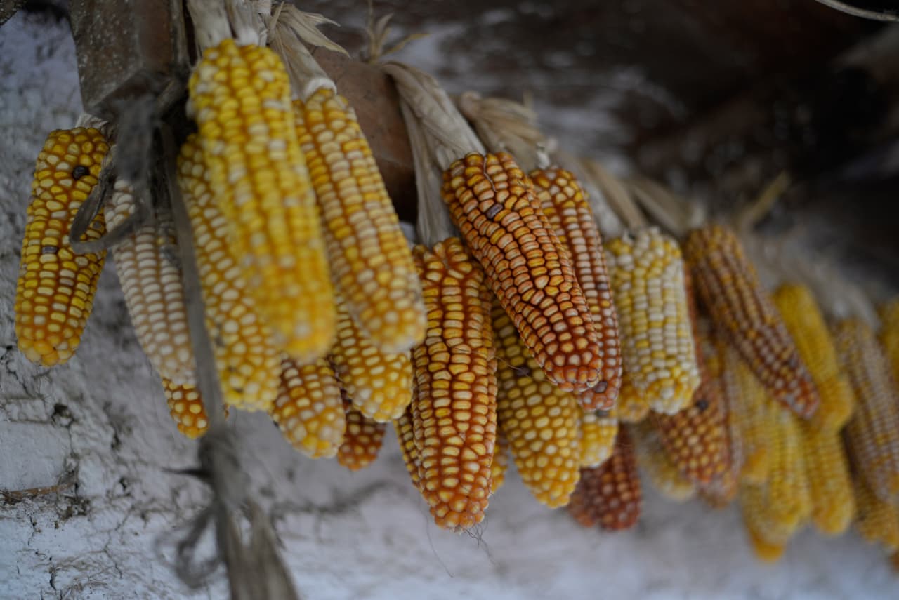 El festival gratuito tendrá lugar de 11am a 7pm el 26 de marzo en 6750 U.S. Highway 87 E, cerca de la intersección S. Foster Road.