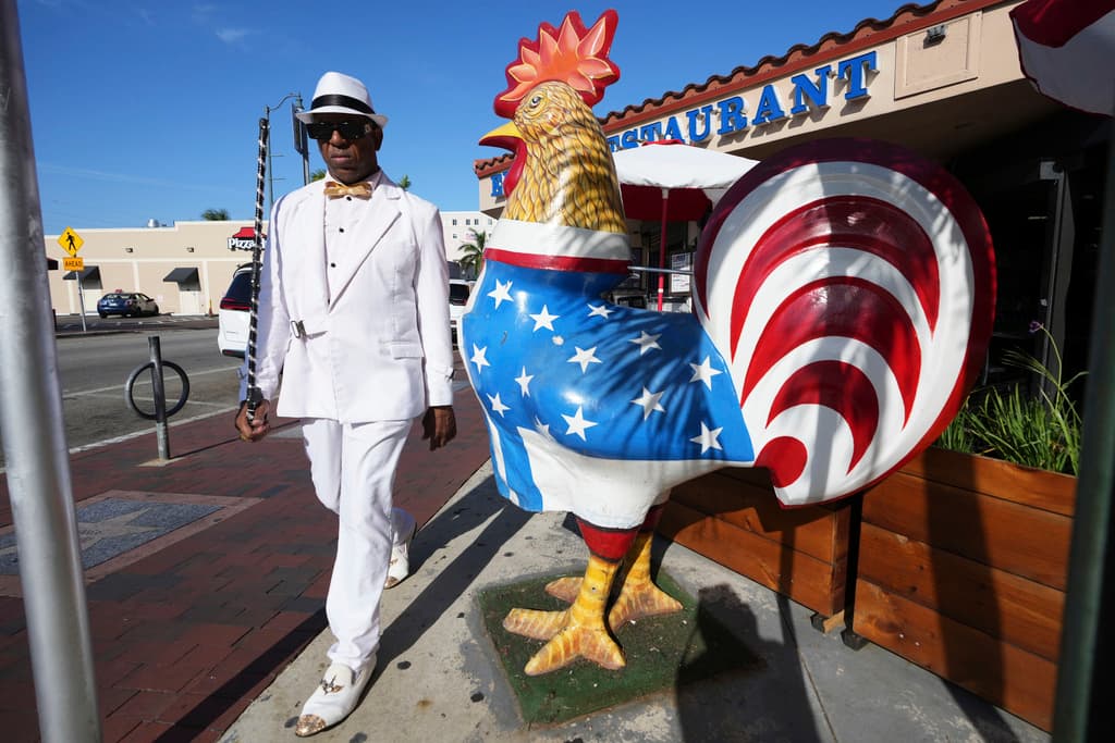 <b>La vida salvaje urbana: gallos, pavos reales y el ecosistema de Miami: </b>Los gallos no están solos en las calles de Miami. En comunidades cercanas como Coral Gables y Coconut Grove, los pavos reales —especie invasora— ya han comenzado a tomar el espacio urbano. Más grandes, agresivos y ruidosos, podrían desplazar a los gallos, generando una nueva dinámica entre fauna y ciudad.
<br>