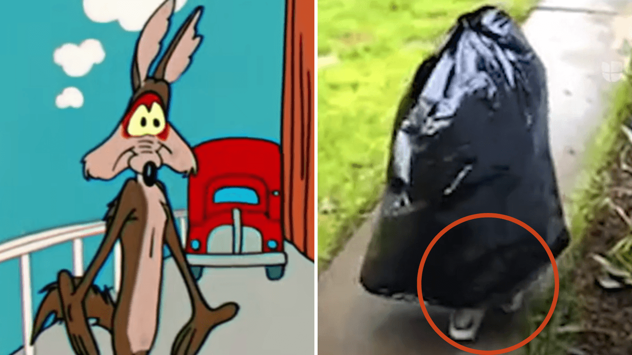 Ladrón se disfraza de bolsa de basura para robar a su vecino: Internet no sabe si reír o llorar